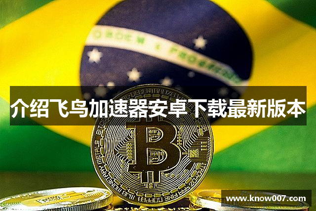 介绍飞鸟加速器安卓下载最新版本