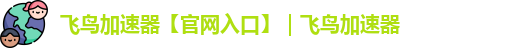 飞鸟加速器安卓下载最新版本
